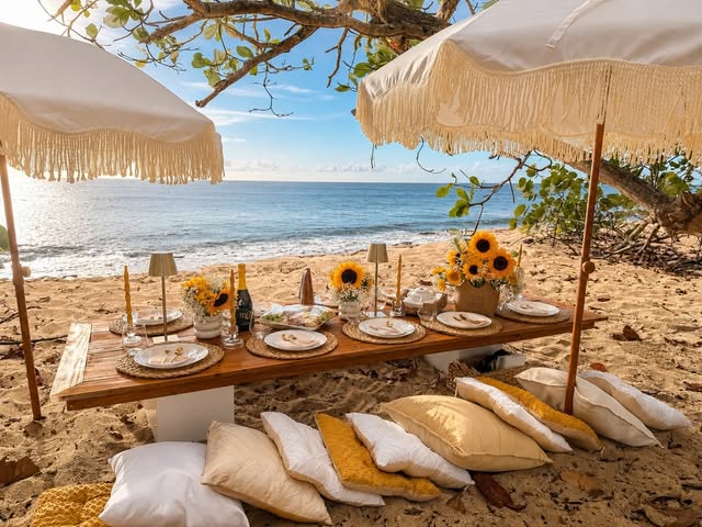 Picnic de lujo bajo los árboles frente al mar con girasoles
